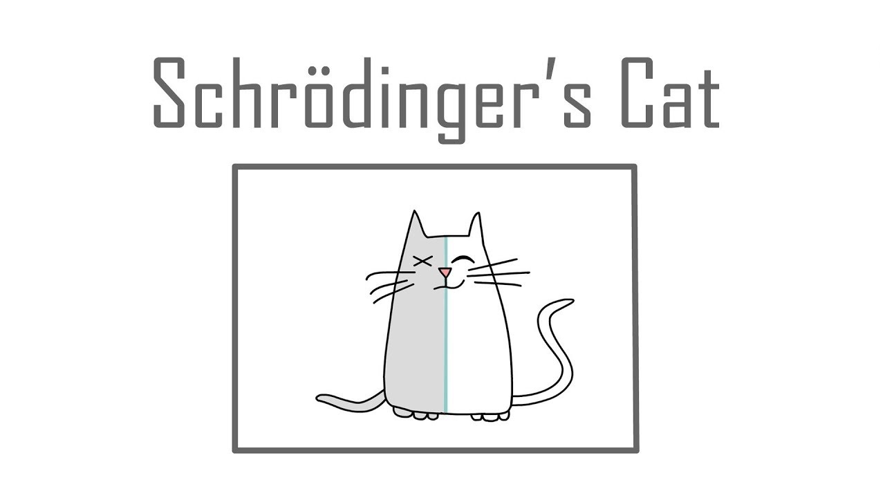paradoxo de Schroedinger, gato de Schroedinger, Vitória, futebol, paradoxo de Schroedinger, Schroedinger e o Vitória
